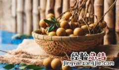 鹌鹑桂圆汤如何做 制作鹌鹑桂圆汤的方法
