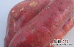 红薯减肥的吃法 红薯减肥法怎么吃