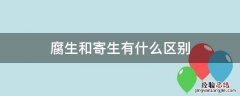 什么叫腐生什么叫寄生 腐生和寄生有什么区别