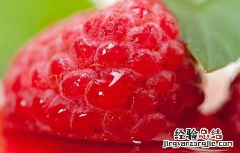 覆盆子酒功效与作用功 覆盆子酒的功效和做法
