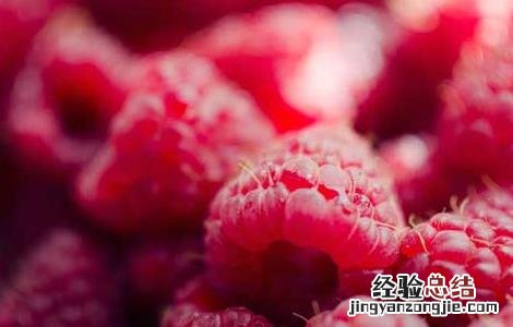 覆盆子酒功效与作用功 覆盆子酒的功效和做法