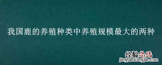 我国鹿的养殖种类中养殖规模最大的两种