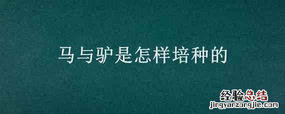 马与驴是怎样培种的 驴和马哪个容易养殖