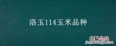 洛玉114玉米品种是细轴吗 洛玉114玉米品种