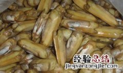 蛏子需要吐沙子吗 蛏子怎样吐沙子吐得干净