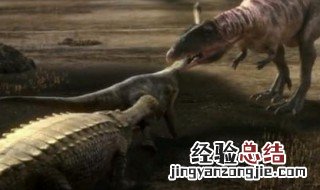 关于恐龙的纪录片有哪些 关于恐龙的纪录片有哪些电影