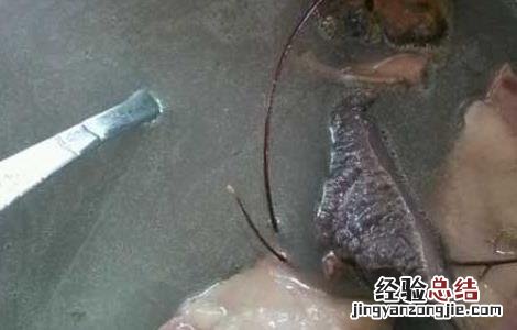 鸡骨草煲汤的做法大全视频 鸡骨草煲汤的做法大全