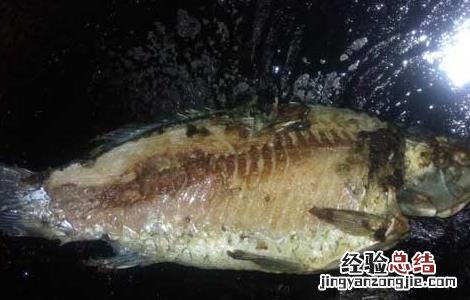 鸡骨草煲汤的做法大全视频 鸡骨草煲汤的做法大全