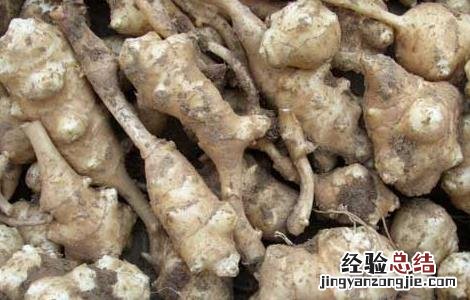 洋姜怎么做好吃又简单 洋姜怎么做好吃
