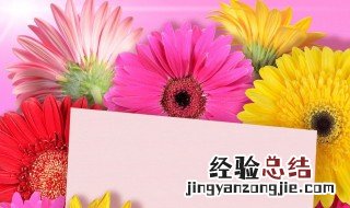 三年级菊花记录卡怎么写 三年级菊花记录卡这样写简单又全面