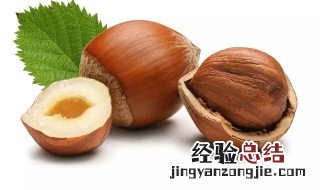 没开口的榛子怎么剥 没开口的榛子如何剥