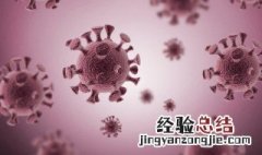 支原体病毒怎么杀灭 支原体病毒很容易杀死吗