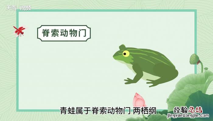 欧巴是青蛙的意思 青蛙的意思
