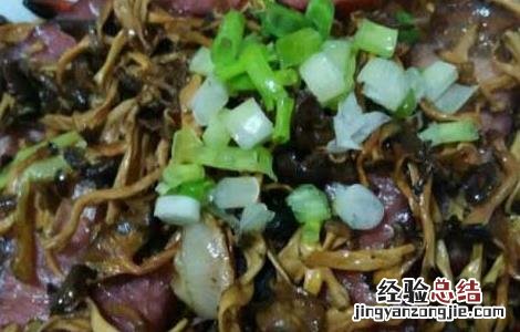 干巴菌菜谱 干巴菌的做法大全