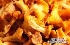 黄丝菌的做法大全 黄丝菌怎么做