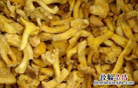黄丝菌的做法大全 黄丝菌怎么做