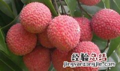 荔枝可以放多久不坏 荔枝可以放多久