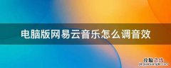 电脑版网易云音乐怎么调音效 电脑版网易云音乐怎么设置音效