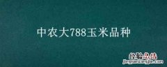 中农大788玉米品种审定公告 中农大788玉米品种