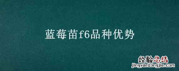 蓝莓种植品种选择 蓝莓苗f6品种优势