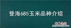 登海685玉米品种介绍 登海685玉米种子特征