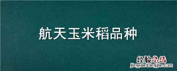 航天玉米稻品种 航天水稻品种