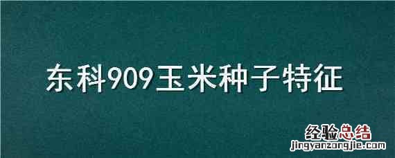 中科909玉米种简介 东科909玉米种子特征