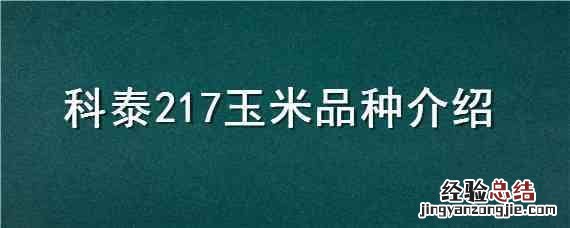 科泰1608玉米品种简介 科泰217玉米品种介绍
