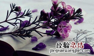 带香的四字成语 带香的四字成语及解释