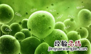 怎么能养钢针磁化鱼 怎么能养钢针磁化