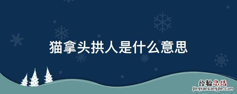 猫咪拿头拱人 猫拿头拱人是什么意思