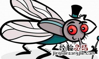 蚤蝇会对人体有害吗 家里为什么有很多蚤蝇