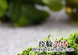 三七花的功效与作用禁忌 37花的功效