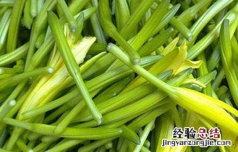 鲜黄花菜的做法大全 鲜黄花菜的做法大全家常视频