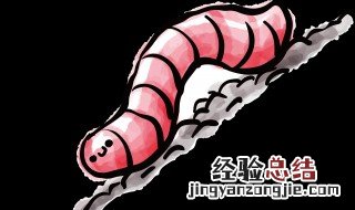 黄粉虫养殖成本 黄粉虫的养殖成本是多少
