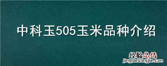 中科玉505玉米品种简介 中科玉505玉米品种介绍
