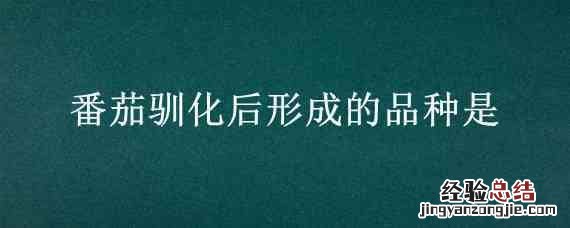 番茄在驯化过程中选择的改变 番茄驯化后形成的品种是