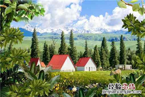 现在农村自己创业做什么好 现在农村创业做什么好