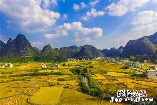 村委会在土地流转中的作用 土地流转的主体是农民还是村委会