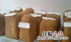 做酱块子长绿毛和黑毛正常吗怎么办 做酱块子长绿毛和黑毛正常吗