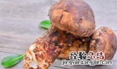 松茸哪些人不能吃 松茸哪三类人不能吃
