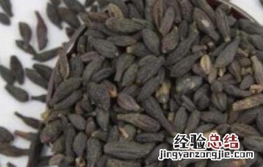 干青果泡水的功效与作用 干青果泡水的功效与作用及禁忌