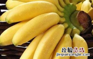 西贡蕉的功效与作用及禁忌 西贡蕉的功效与作用及禁忌症是什么