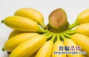 西贡蕉的功效与作用及禁忌 西贡蕉的功效与作用及禁忌症是什么
