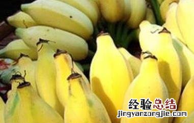 帝王蕉的功效与作用禁忌 皇帝香蕉的功效与作用