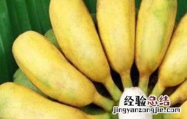 贡蕉的作用和功效 贡蕉的作用和功效与禁忌