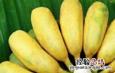 西贡蕉不能与什么同吃 西贡蕉的禁忌
