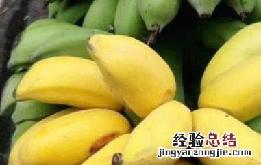 鸡蕉和小米蕉的区别 小米蕉和鸡蕉有什么区别