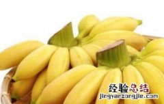 山蕉是什么东西 山蕉是什么