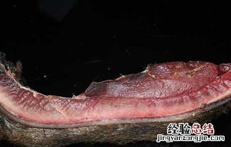 野猪肉怎么做好吃